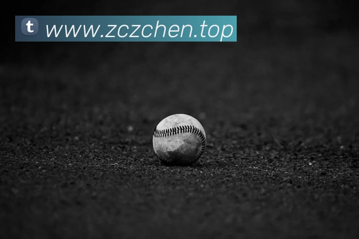 星空体育平台生态图