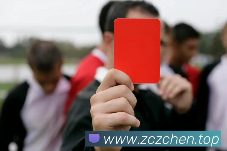 星空体育APP 封面图